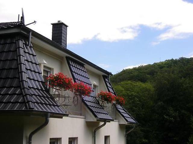 באד סודרודה Weisses-Haus-Am-Kurpark-Fewo-Bergblick מראה חיצוני תמונה